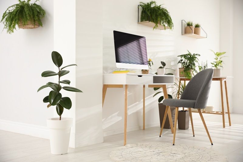 Modern_workplace_in_room_decorated_with_green_potted_plants._Home_design