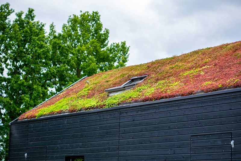 Building_with_a_green_roof_completely_covered_with_vegetation