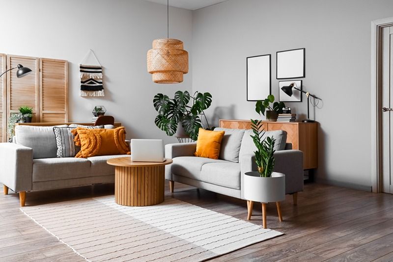 Interior_of_living_room_with_green_houseplants_and_sofas