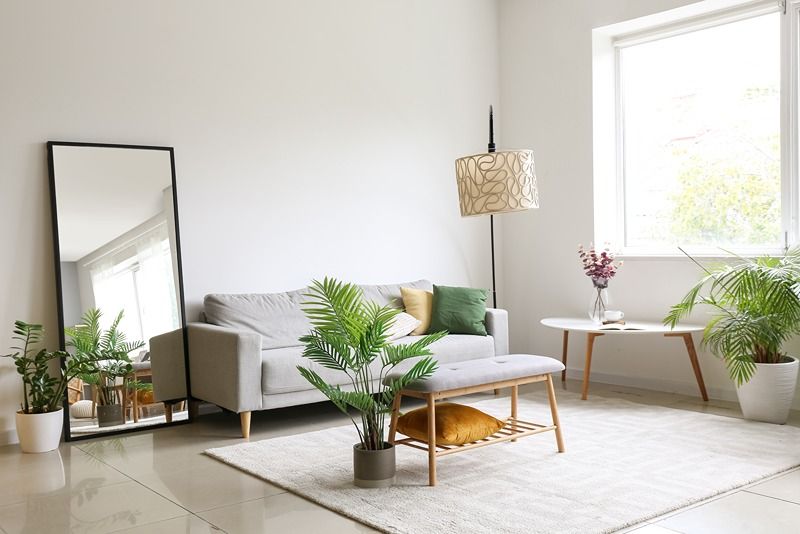interior_of_light_living_room_with_comfortable_sofa,_houseplants_and_mirror_near_light_wall