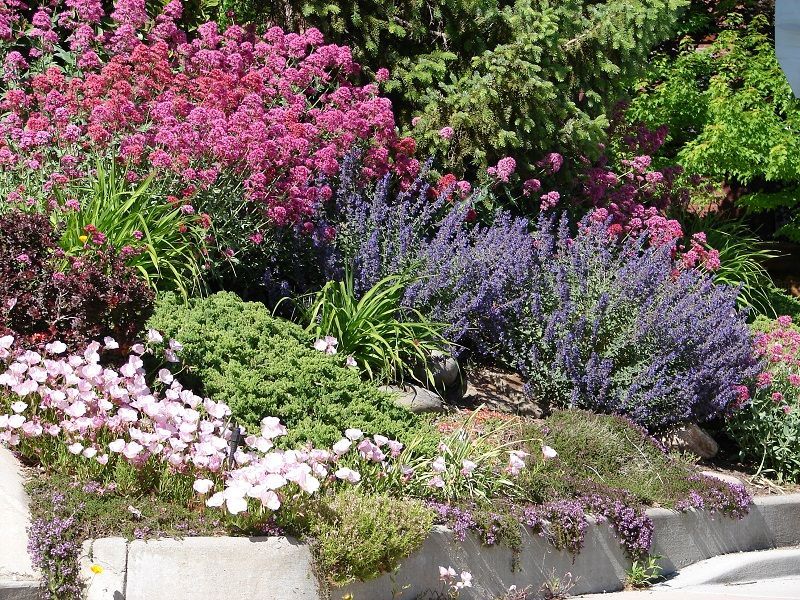 7 landscape designs to replace a traditional lawn