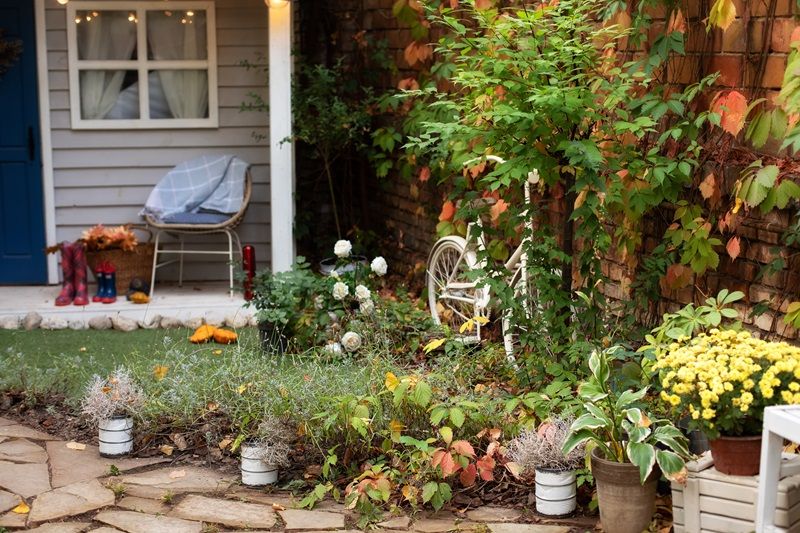 Houseplants_in_pots_in_courtyard._Cozy_garden_corner._The_interior_Patio_of_wooden_house_with_green_plants_in_pots._house_terrace_in_autumn_decor._Soft_focus_on_the_grass,_foreground.