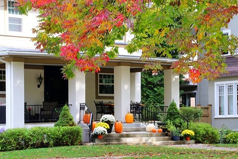 Seasonal_house_outdoor_decoration._Main_entrance_stair_and_porch_of_the_stylish_house_decorated_for_autumn_holidays_season,_branches_of_the_colorful_tree_on_a_foreground._Fall_background