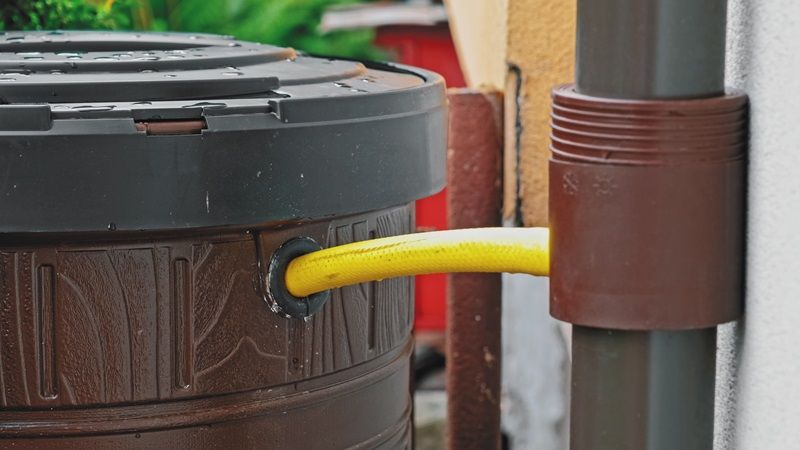 Large_Plastic_Barrell_Connected_with_Hose_To_Rain_Gutter_Collecting_Rainwater_from_Roof